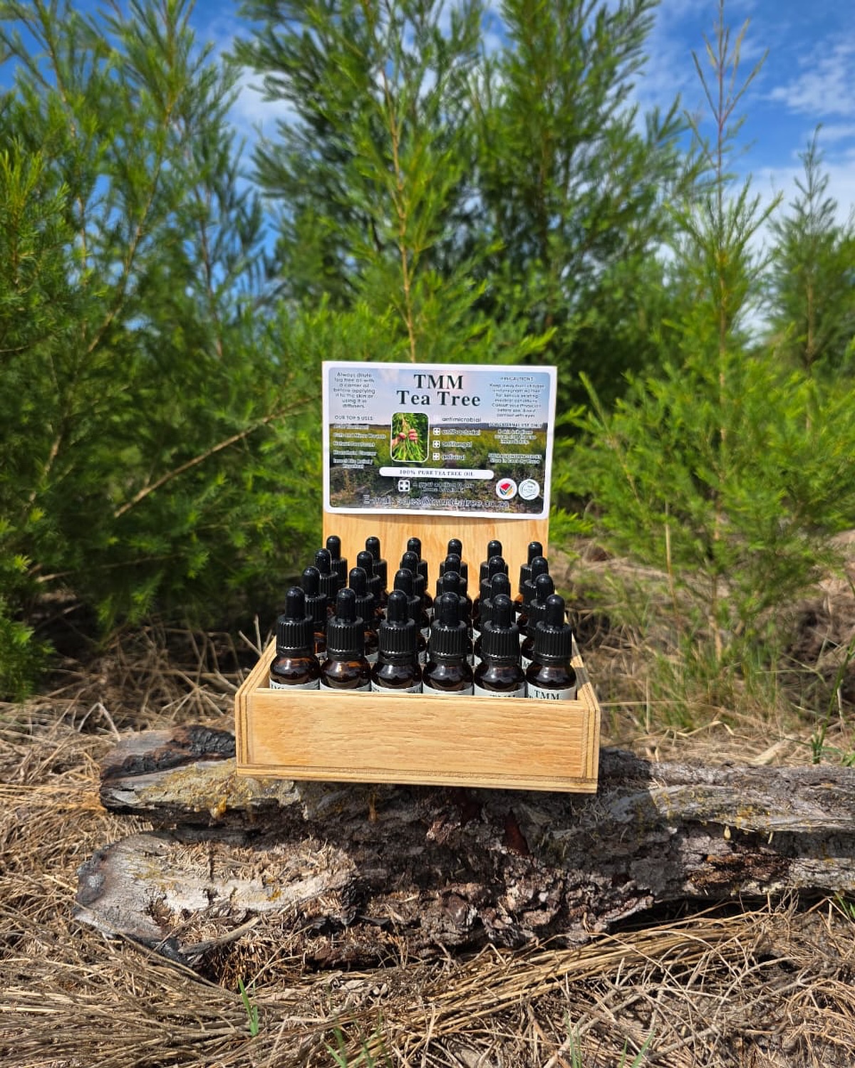 TMM organic tea tree oil South Africa